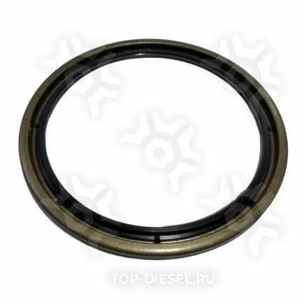 01034120B Сальник ступицы задний 145x175x8 мм БНК DC+ Mercedes Benz Actros/Axor/Atego Corteco купить