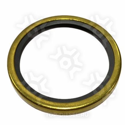 131289 Сальник термостата 53x68x6 Cummins/Caterpillar/Detroit Diesel Volvo FH Renault Pai купить