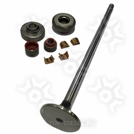 23507504 Клапан выпускной Detroit Diesel Freightliner International Detroit Diesel купить