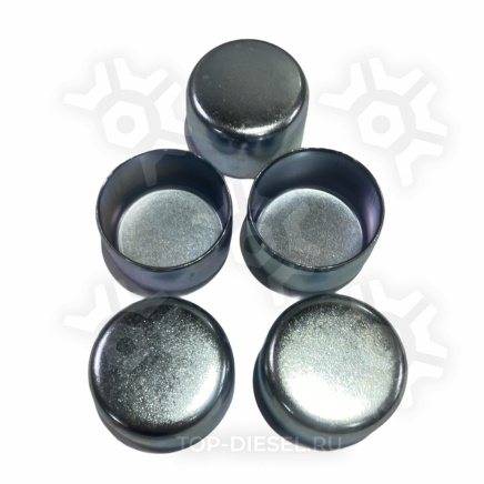 15733 Ремкомплект дискового тормоза крышки 40x24.5мм 5штук Knorr SN6/SN7/SK7 TTT-auto купить