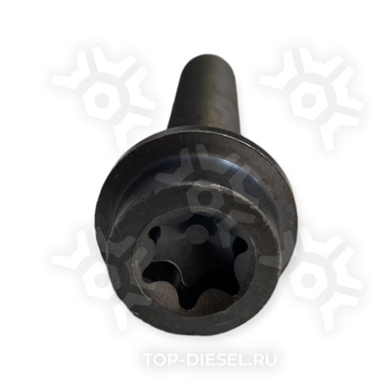 202484 Болт тормозного диска с внутренней звездочкой (M14x1.5x88/75, 170Nm) Mercedes-Benz Sampa купить рис.2