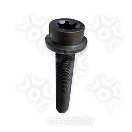 202484 Болт тормозного диска с внутренней звездочкой (M14x1.5x88/75, 170Nm) Mercedes-Benz Sampa купить