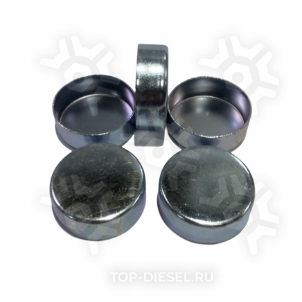 15715 Ремкомплект дискового тормоза заглушки направляющих суппорта SB/SN BPW TTT-auto купить