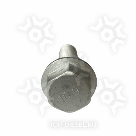 SK786007901 Болт крепления суппорта M16x1.5x60 Mercedes Benz Atego S&K купить рис.2