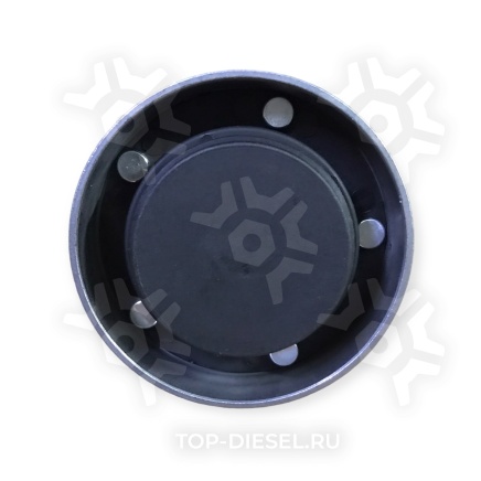 541425 Ролик натяжителя DAF CF85/XF95/105 обводной DT купить рис.2