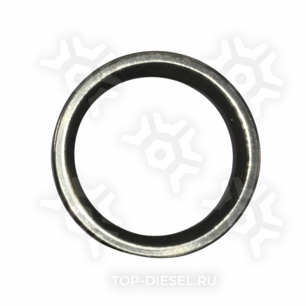 8101417SX Сальник термостата 53x68x6 CUM/CAT/DD/VOLVO FH/RVI Stellox купить