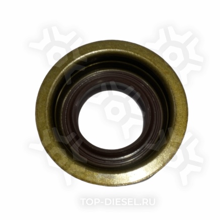 0750112253 Сальник КПП 25x40/49.5x13.7/15 MAN/DAF/Renault/Volvo ZF купить рис.2