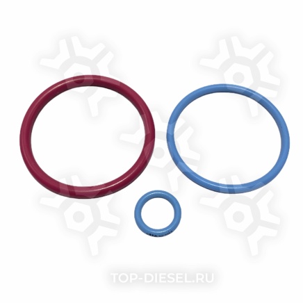2481394WG Кольца форсунки комплект на 1 форсунку Caterpillar C-15 Freightliner/International World Gasket купить