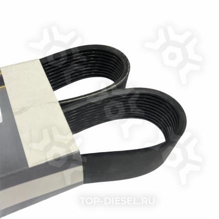 10PK1300HD Ремень поликлиновой привода вентилятора 10PK1295 Volvo VNL Cummins ISX Dayco купить рис.3