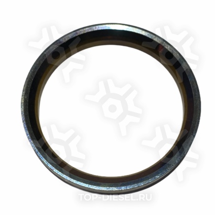 3679659 Седло выпускного клапана Cummins ISX/QSX15 Cummins купить рис.2