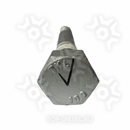 102190 Болт полурессоры M30x2x242 Renault Sampa купить рис.2