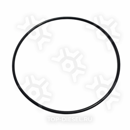 3926048 Кольцо уплотнительное коленвала и заглушки распредвала Cummins 6CT/L/ISCe/QSL/ISLe Cummins купить