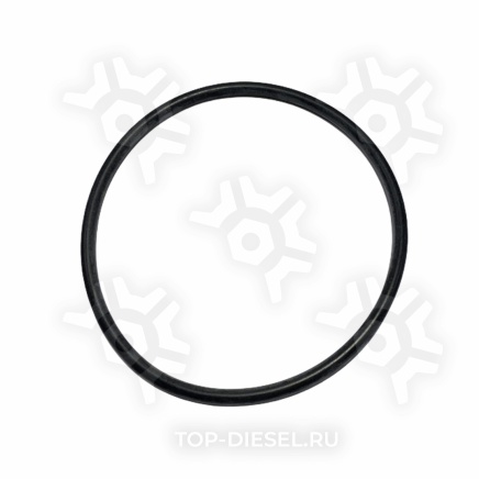 4059172IPD КОЛЬЦО УПЛОТНИТЕЛЬНОЕ CUM ISX IPD купить