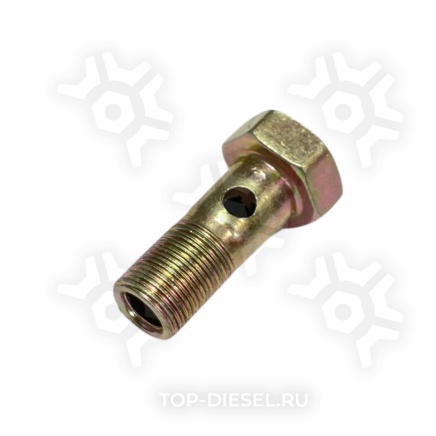 2433456035 Болт перепускной топливопровода !М8 \MAN BOSCH купить